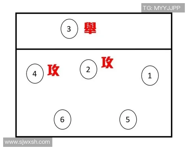 上海排球队的灵活性探索与战术创新分析